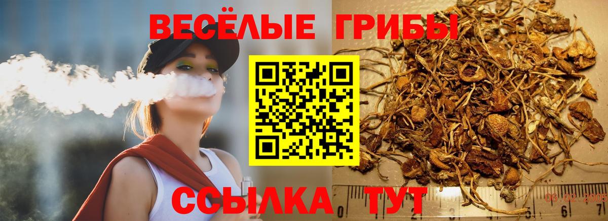 где купить наркотик  Вход с VPN  Луховицы  Псилоцибиновые грибы Cubensis  Галлюциногенные грибы мицелий 