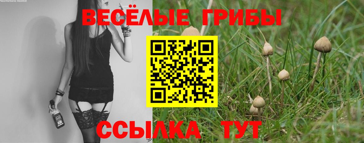Галлюциногенные грибы мухоморы Луховицы